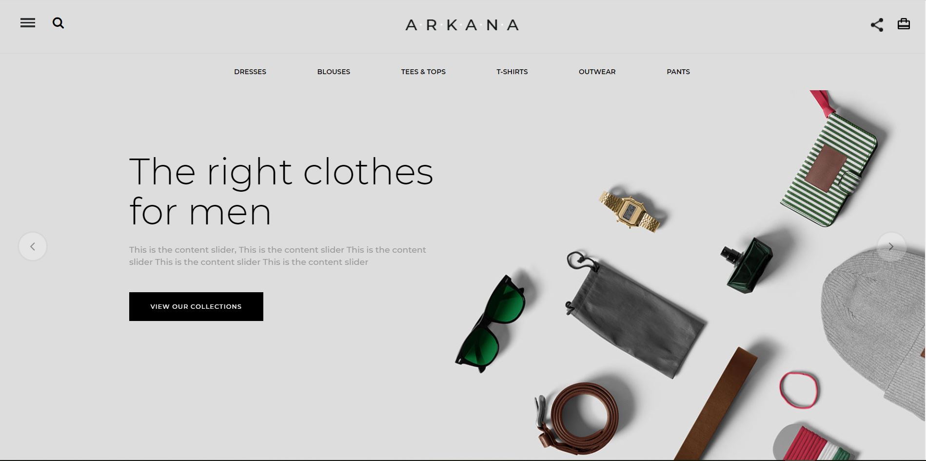 portfolio